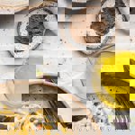 An overhead shot with a table filled with authentic Italian food at VeroGusto.