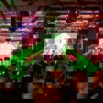 A crowd dances to a DJ, with green lazers lighting the dancers.